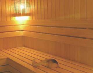 Сауна Сауна LUX в Новосибирске